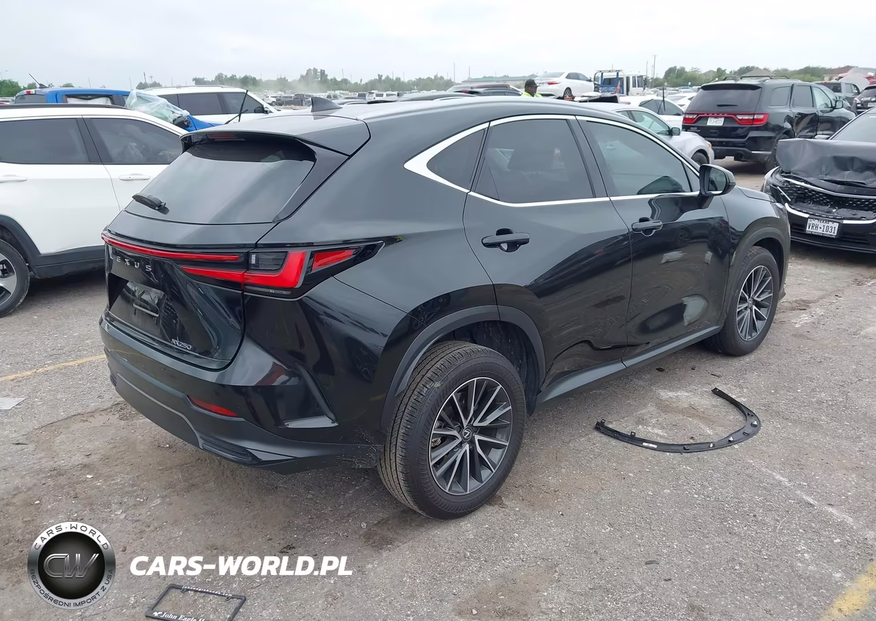 2025 Lexus Nx 250 Premium VIN:2T2GDCAZ3SC024699 - 4