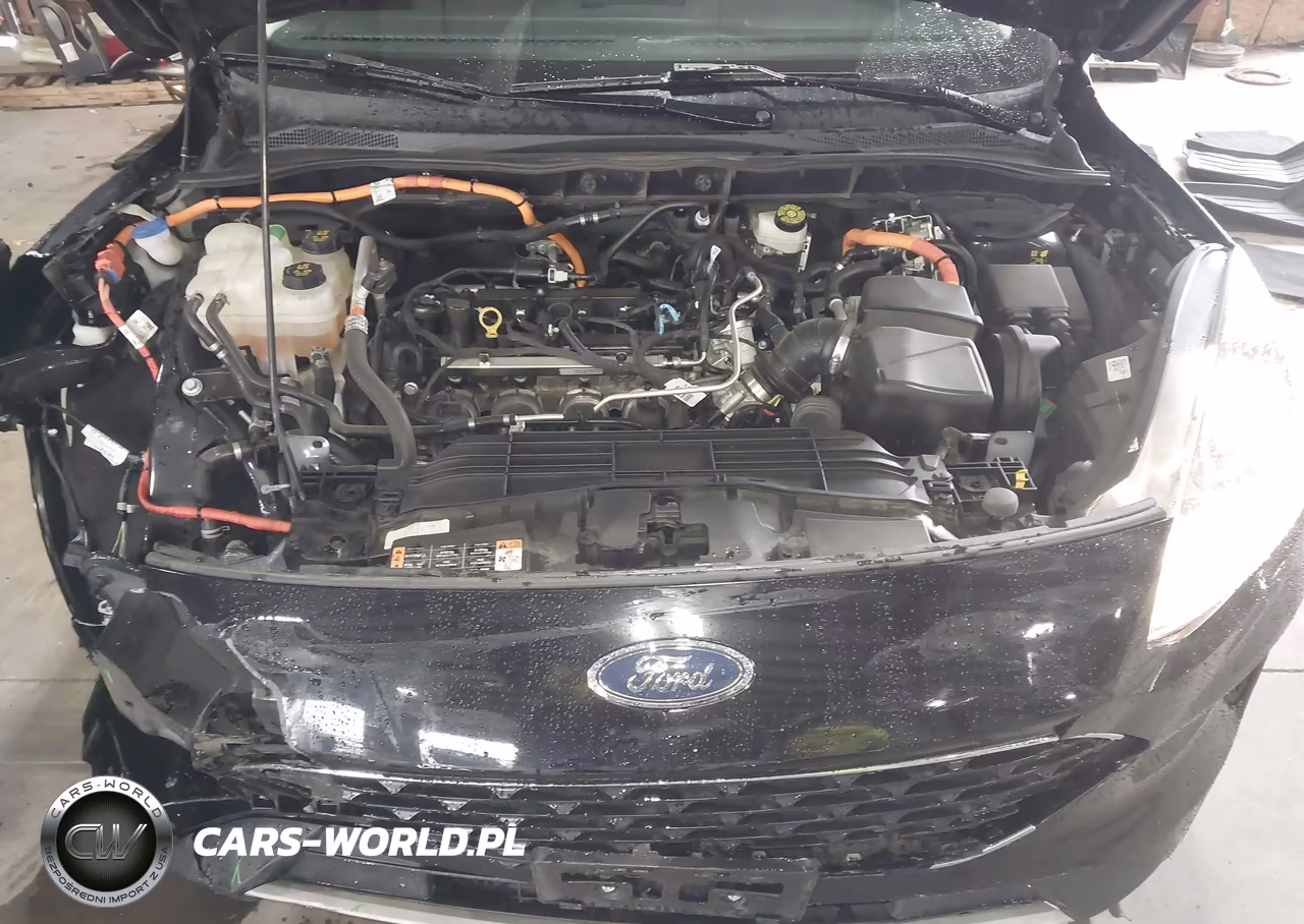 2022 Ford Escape Se Hybrid VIN:1FMCU9BZ6NUA43481 - 10
