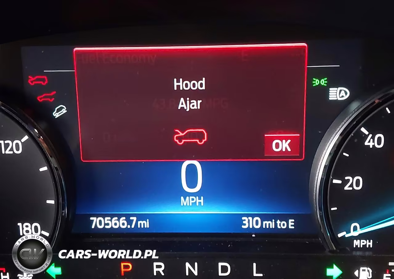 2022 Ford Escape Se Hybrid VIN:1FMCU9BZ6NUA43481 - 16