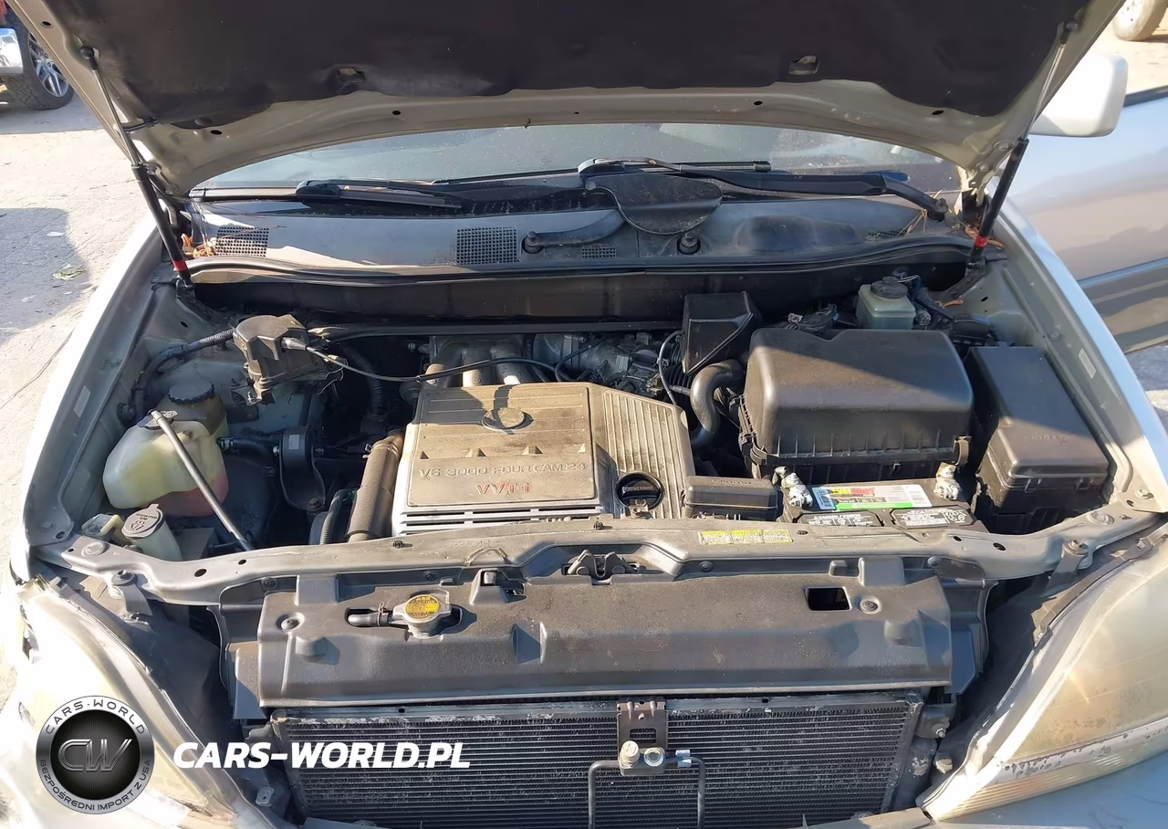 1999 Lexus Rx 300 VIN:JT6HF10U4X0016262 - 10