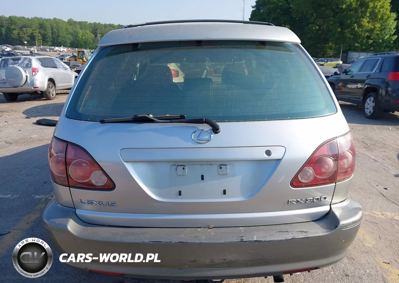 1999 Lexus Rx 300 VIN:JT6HF10U4X0016262 - 16