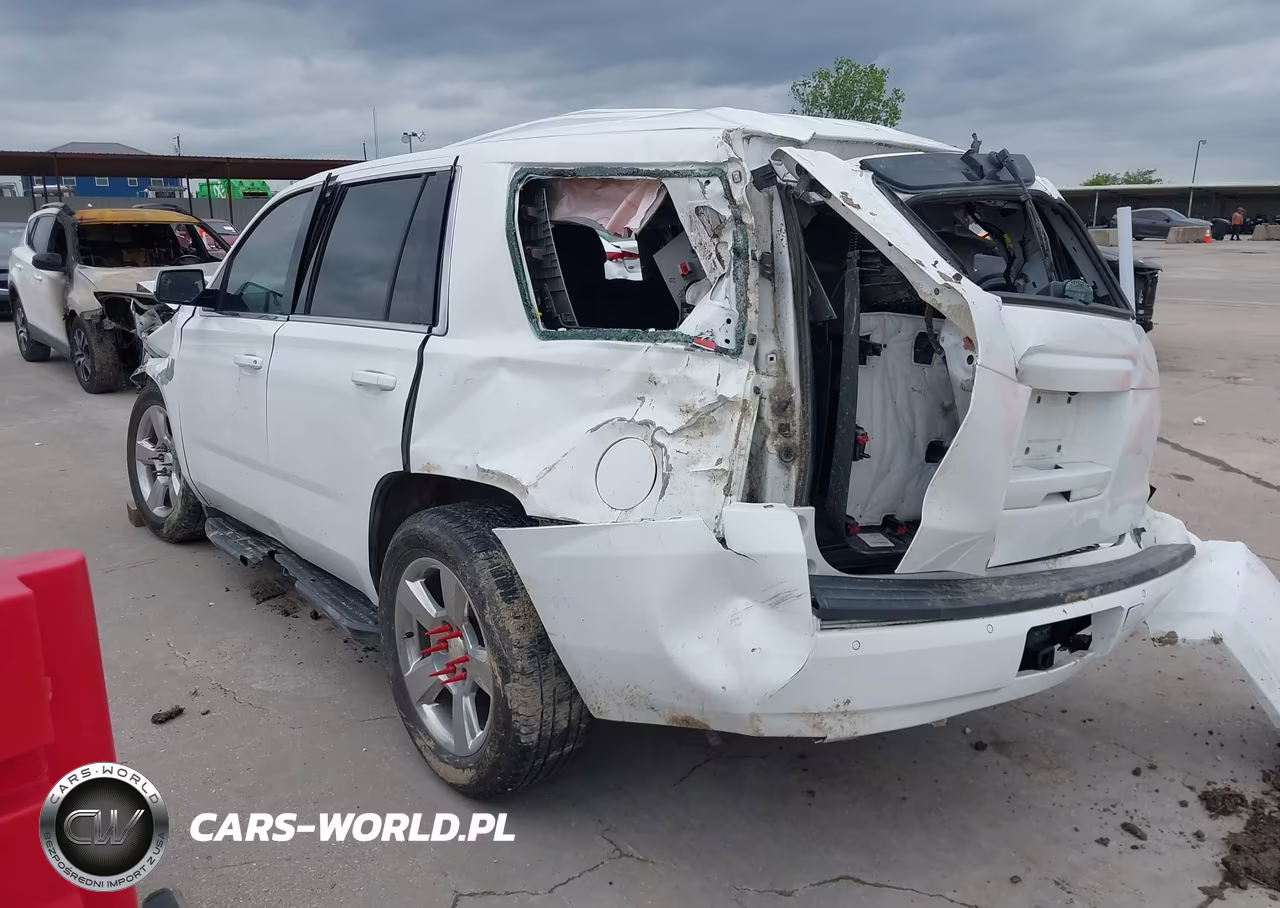 2019 Chevrolet Tahoe Commercial Fleet VIN:1GNLCDEC5KR242741 - 3