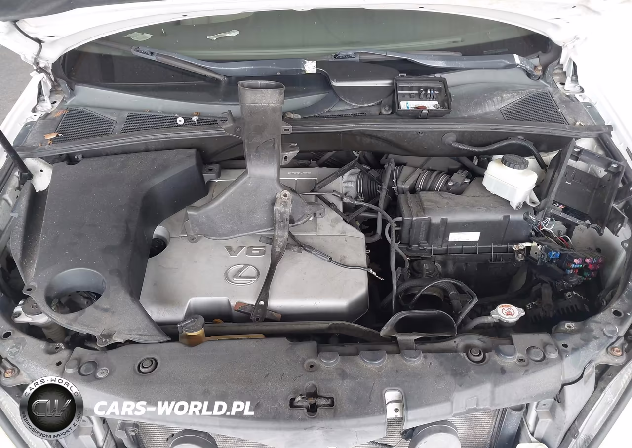 2007 Lexus Rx 350 VIN:2T2GK31U47C005614 - 10