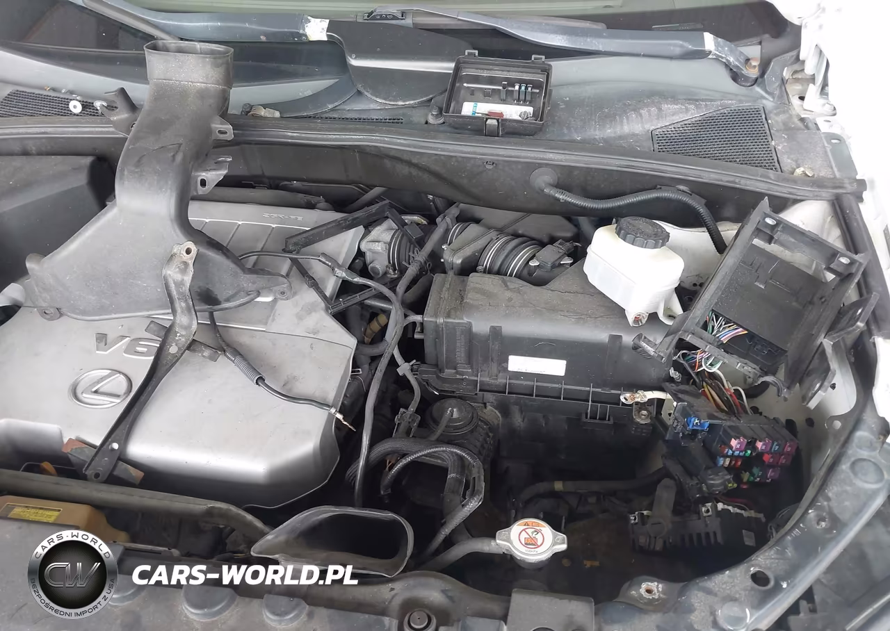 2007 Lexus Rx 350 VIN:2T2GK31U47C005614 - 6