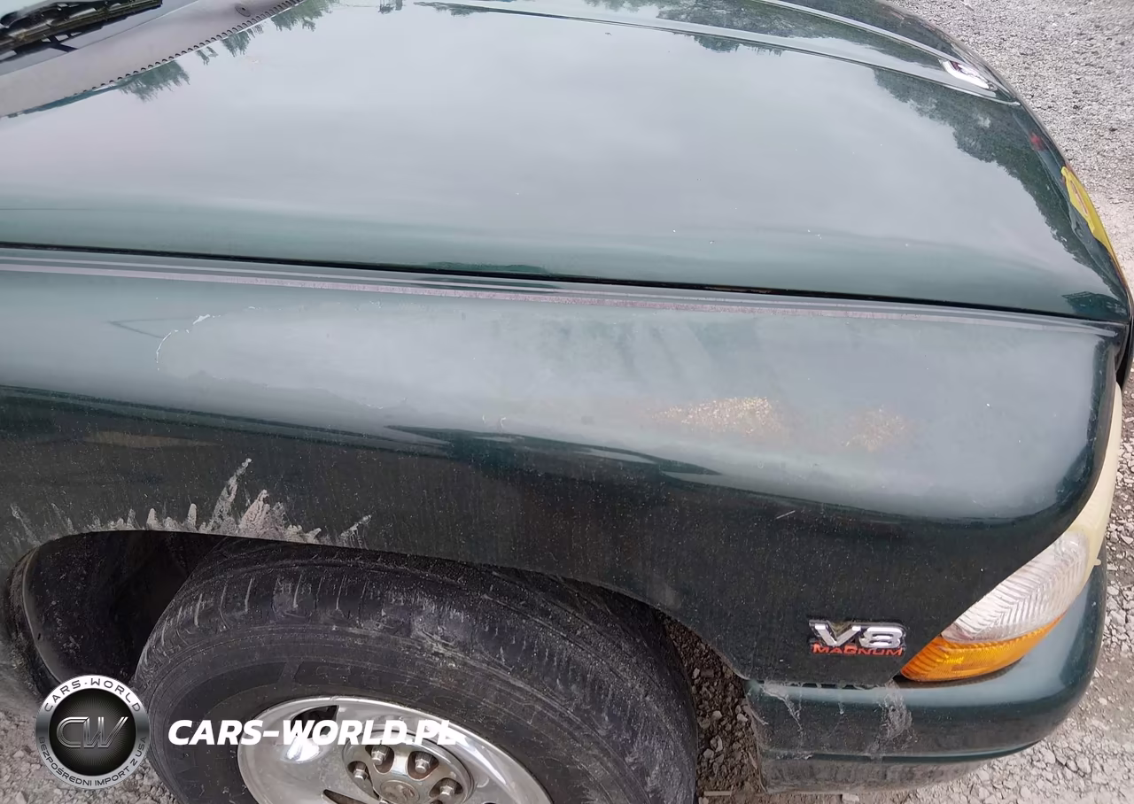 1999 Dodge Durango VIN:1B4HR28ZXXF545697 - 13