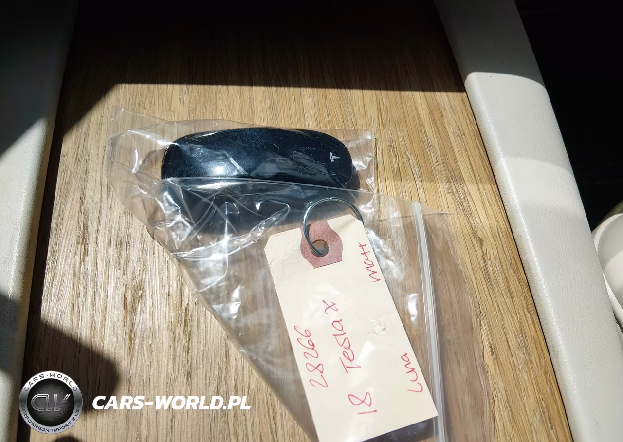 2018 Tesla Model X 100D-75D-P100D VIN:5YJXCDE25JF141303 - 11