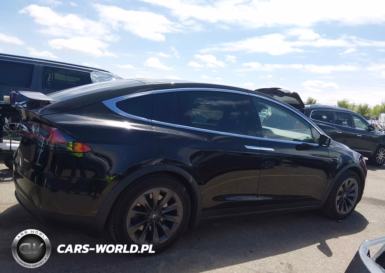 2018 Tesla Model X 100D-75D-P100D VIN:5YJXCDE25JF141303 - 13