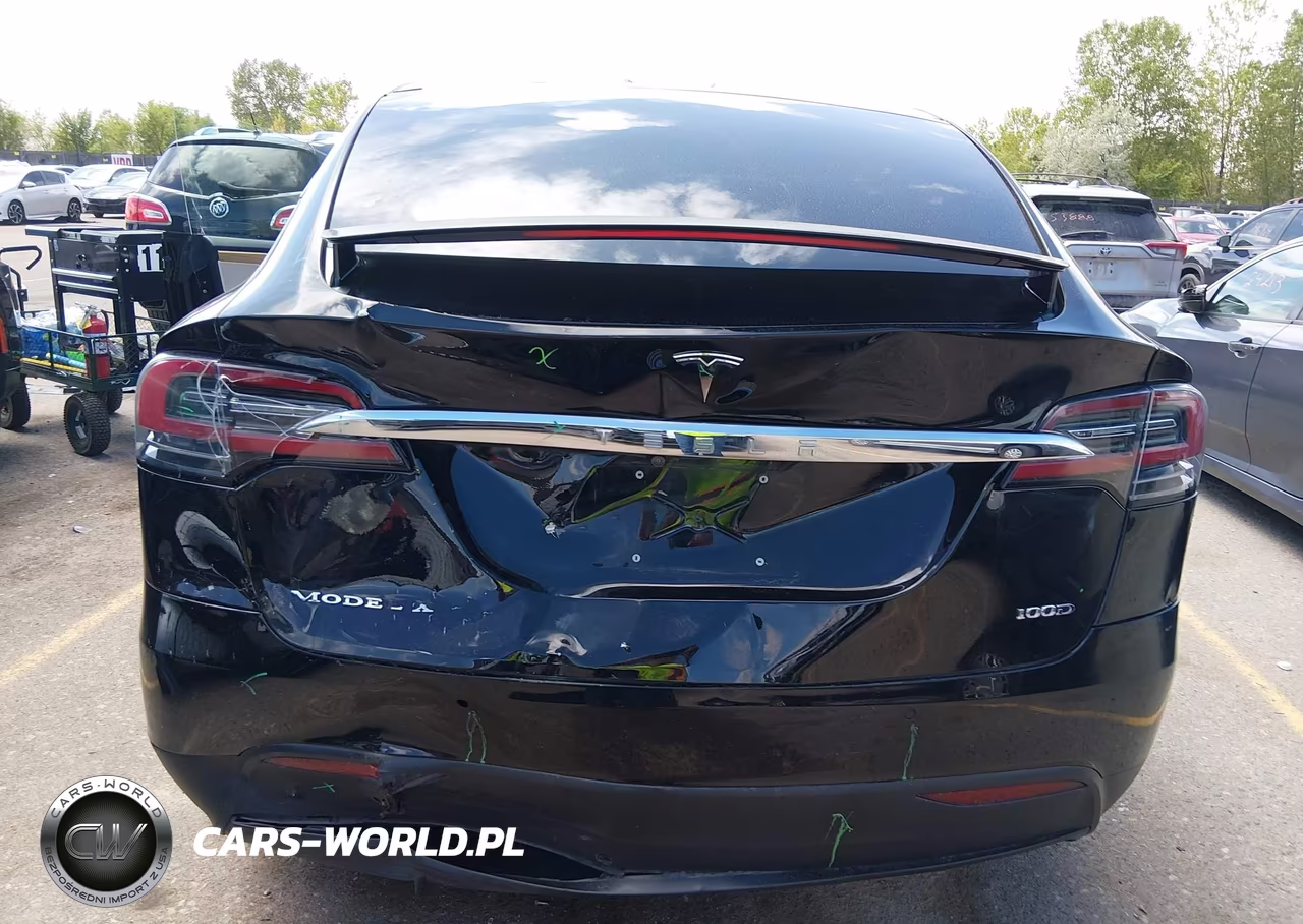 2018 Tesla Model X 100D-75D-P100D VIN:5YJXCDE25JF141303 - 16