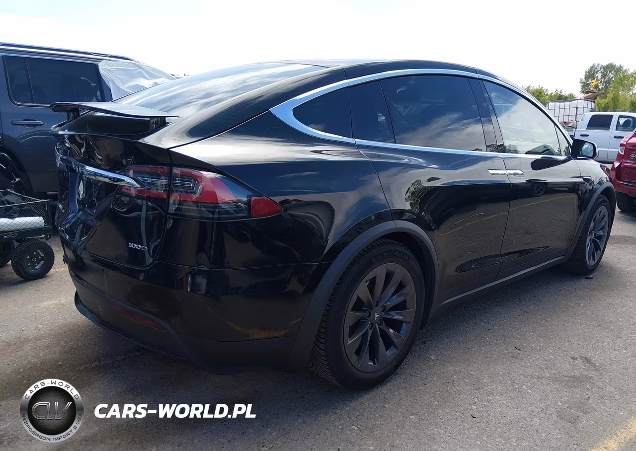 2018 Tesla Model X 100D-75D-P100D VIN:5YJXCDE25JF141303 - 4