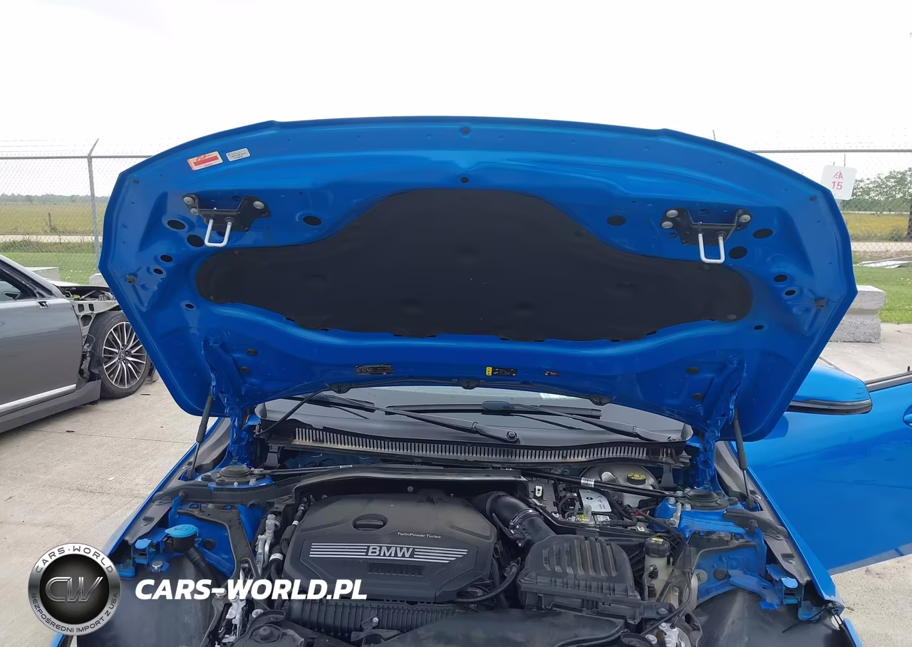 2021 BMW 228I Gran Coupe Sdrive VIN:WBA53AK04M7H44939 - 10