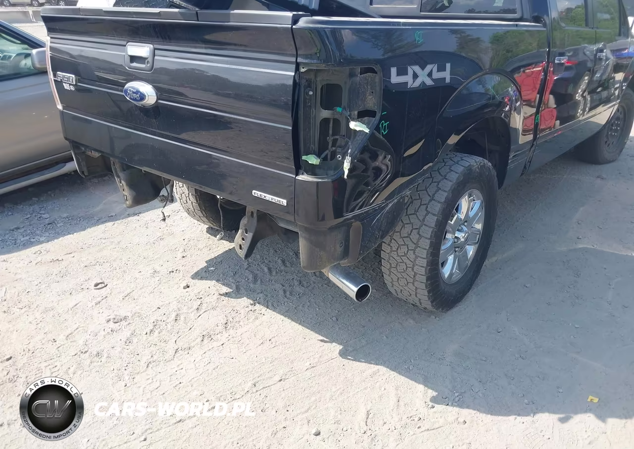 2014 Ford F-150 Xlt VIN:1FTFW1EF0EFC59989 - 12