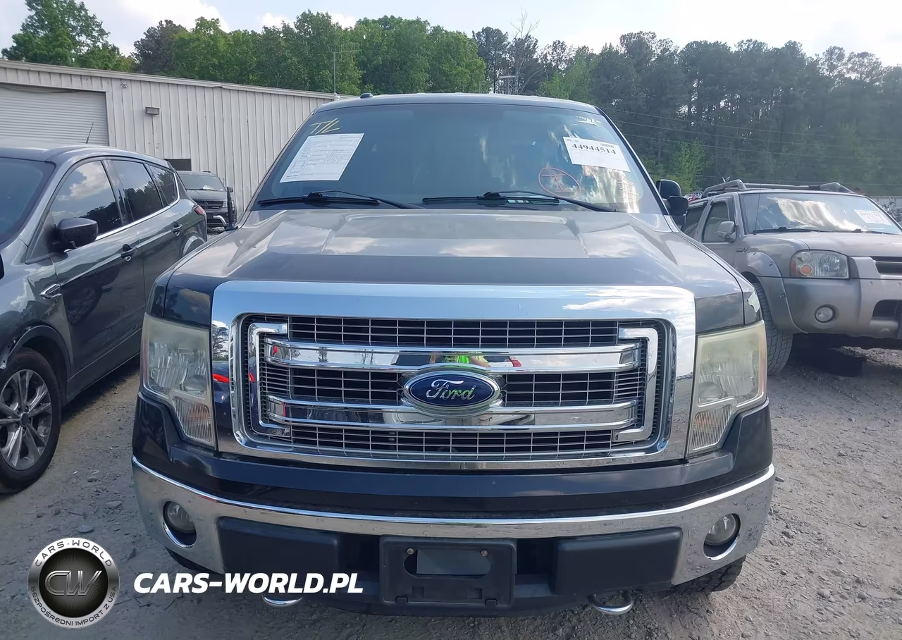 2014 Ford F-150 Xlt VIN:1FTFW1EF0EFC59989 - 13