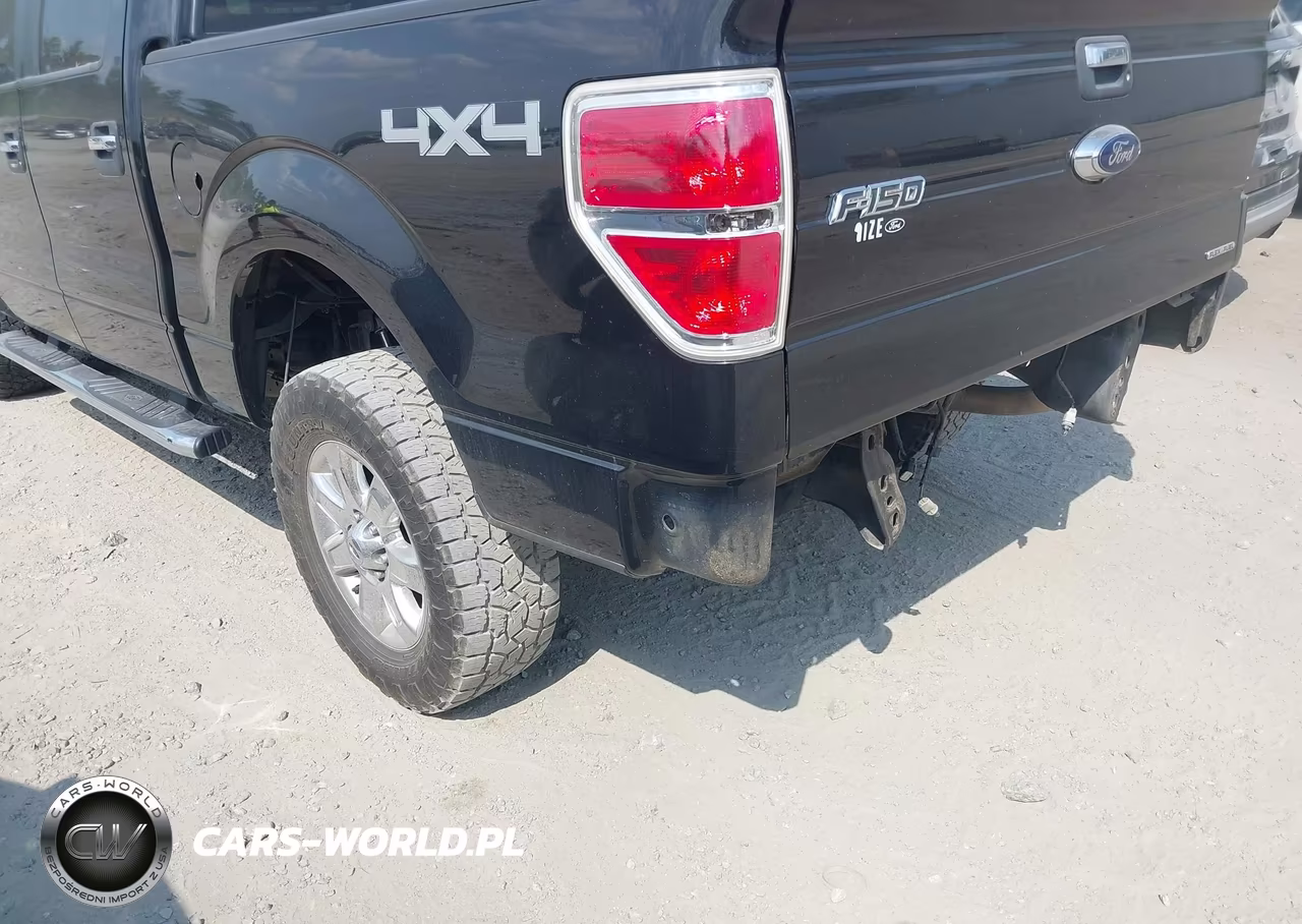 2014 Ford F-150 Xlt VIN:1FTFW1EF0EFC59989 - 19