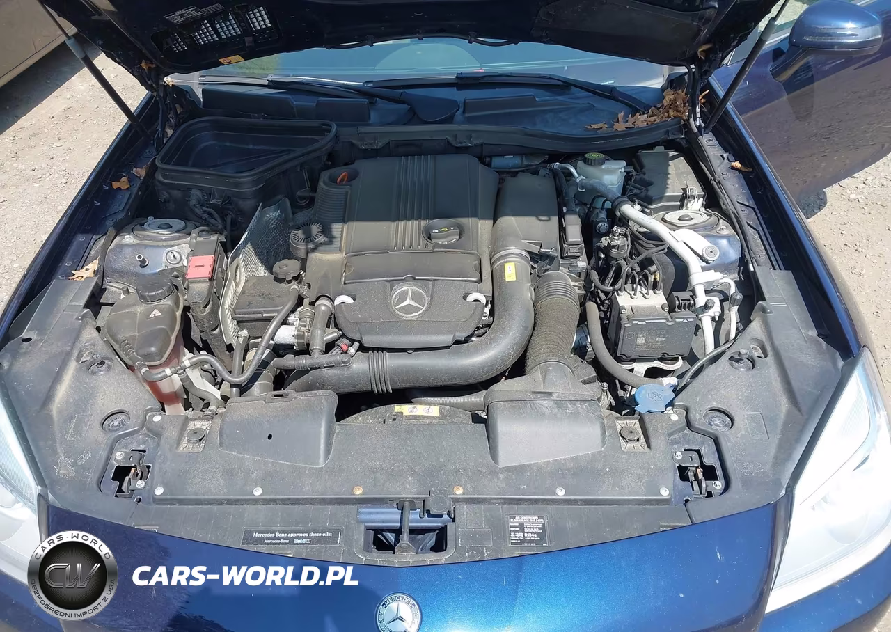 2015 Mercedes-Benz Slk 250 VIN:WDDPK4HA3FF102983 - 10