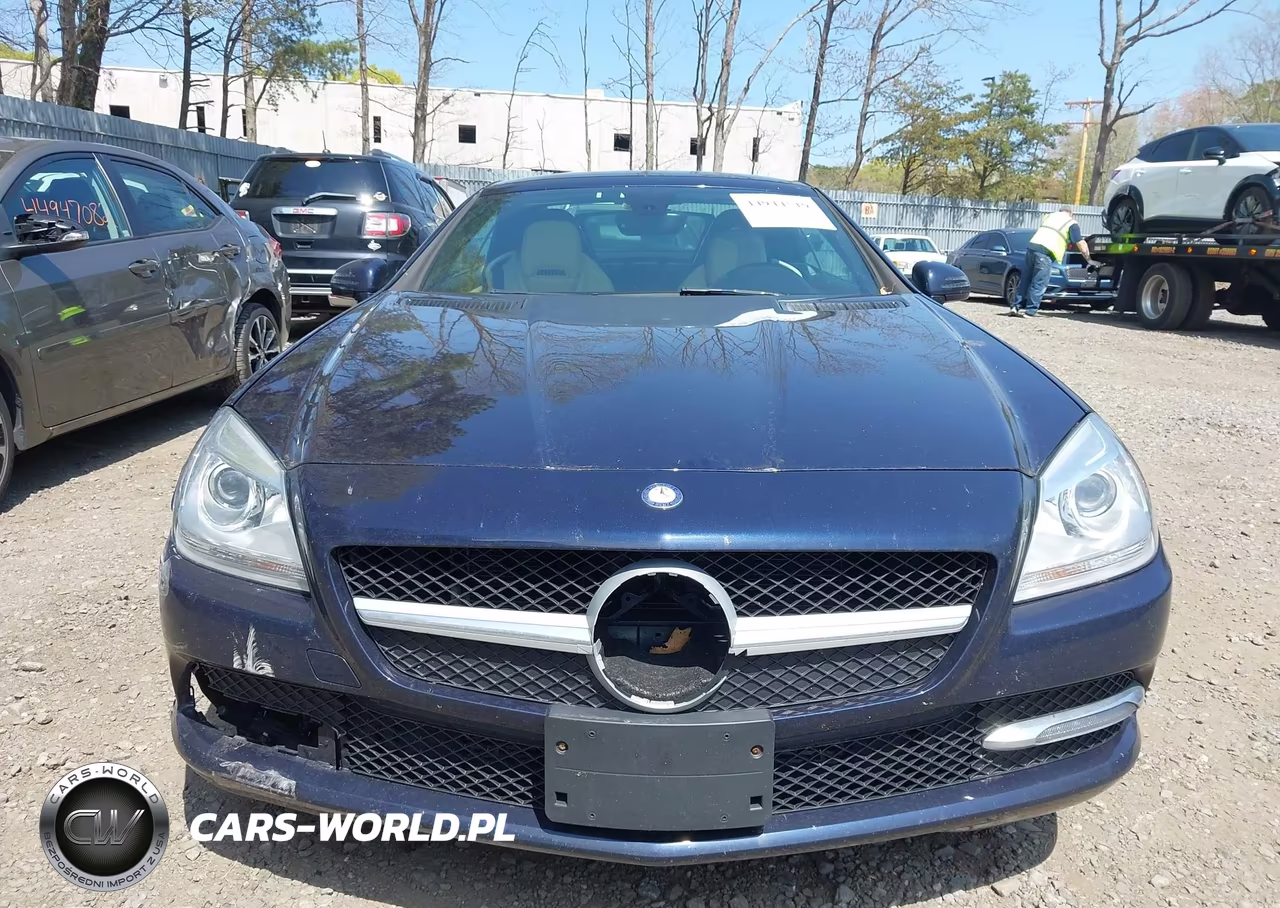 2015 Mercedes-Benz Slk 250 VIN:WDDPK4HA3FF102983 - 12
