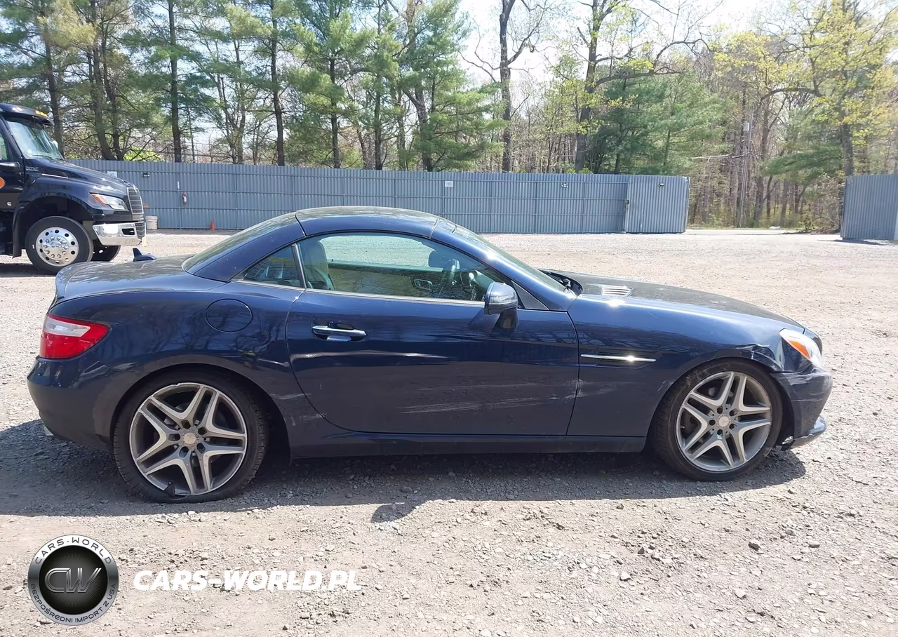 2015 Mercedes-Benz Slk 250 VIN:WDDPK4HA3FF102983 - 13