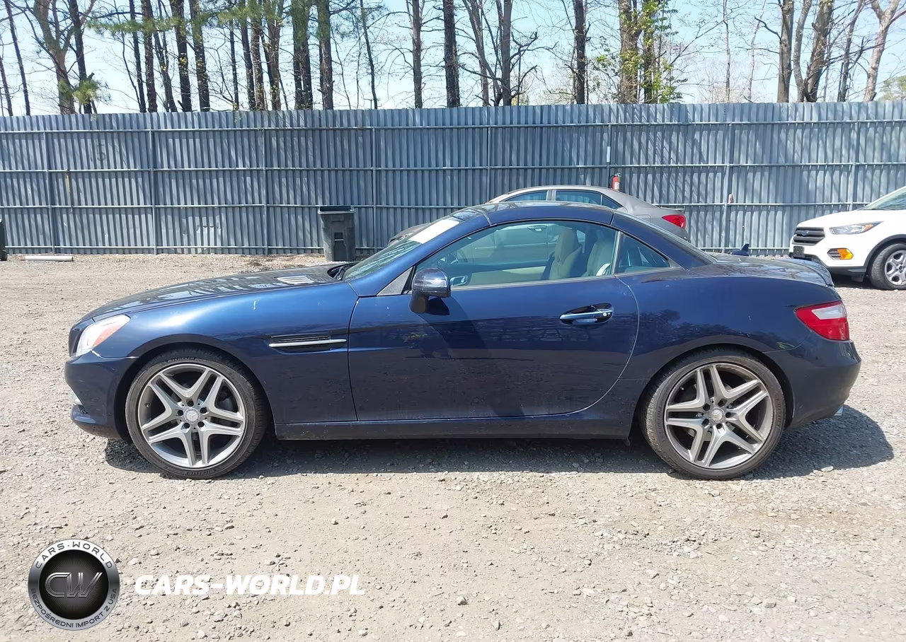 2015 Mercedes-Benz Slk 250 VIN:WDDPK4HA3FF102983 - 14
