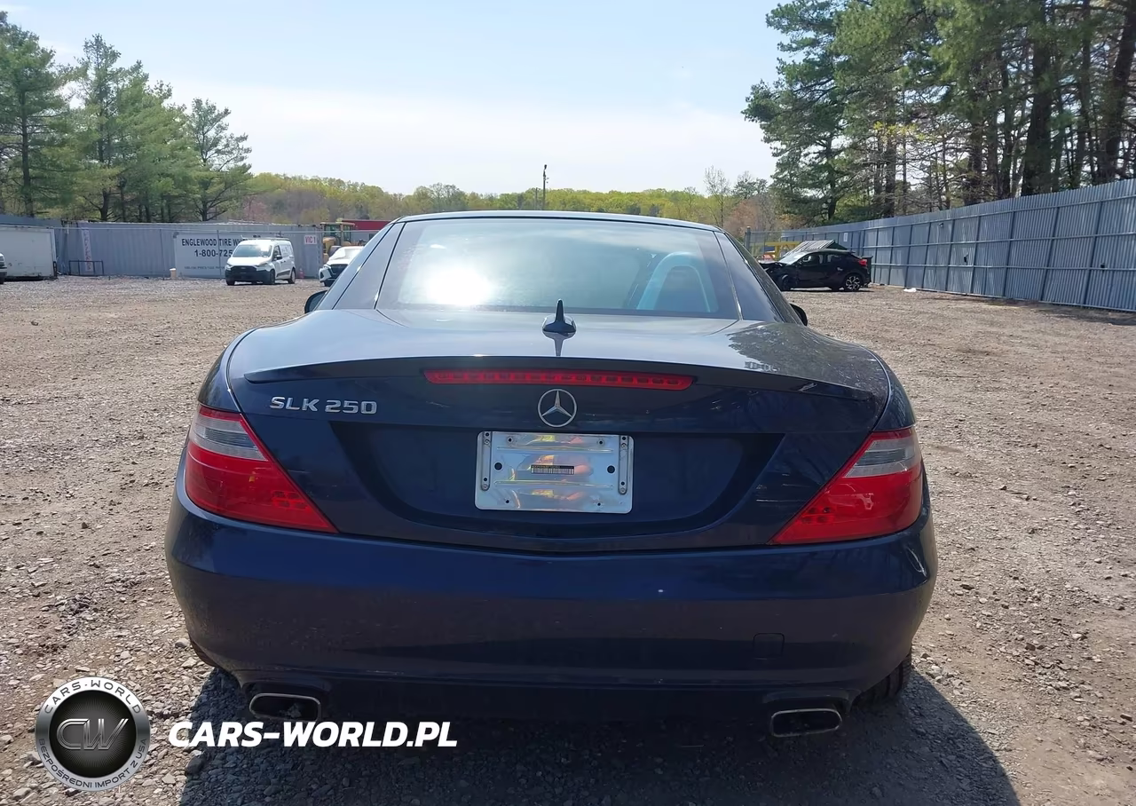 2015 Mercedes-Benz Slk 250 VIN:WDDPK4HA3FF102983 - 16