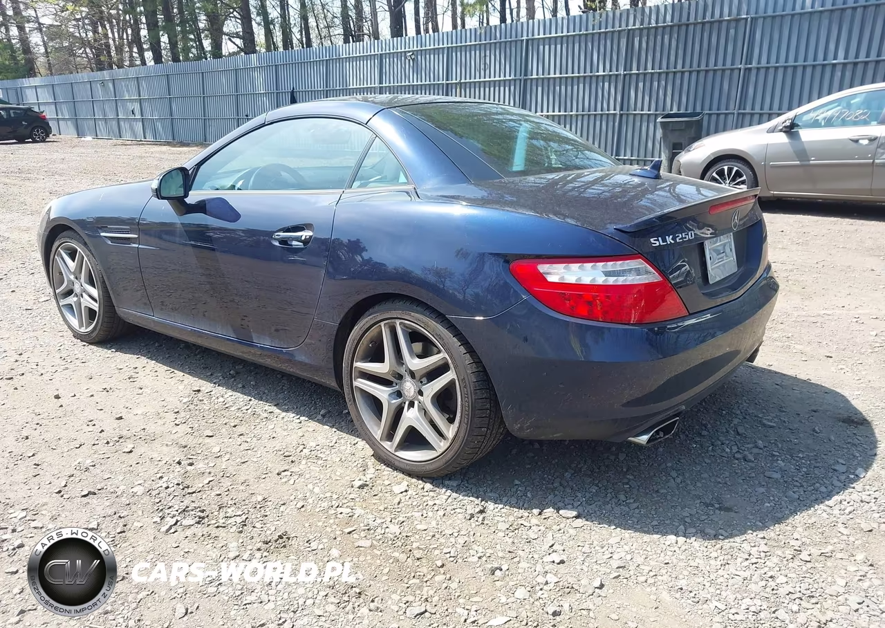 2015 Mercedes-Benz Slk 250 VIN:WDDPK4HA3FF102983 - 3