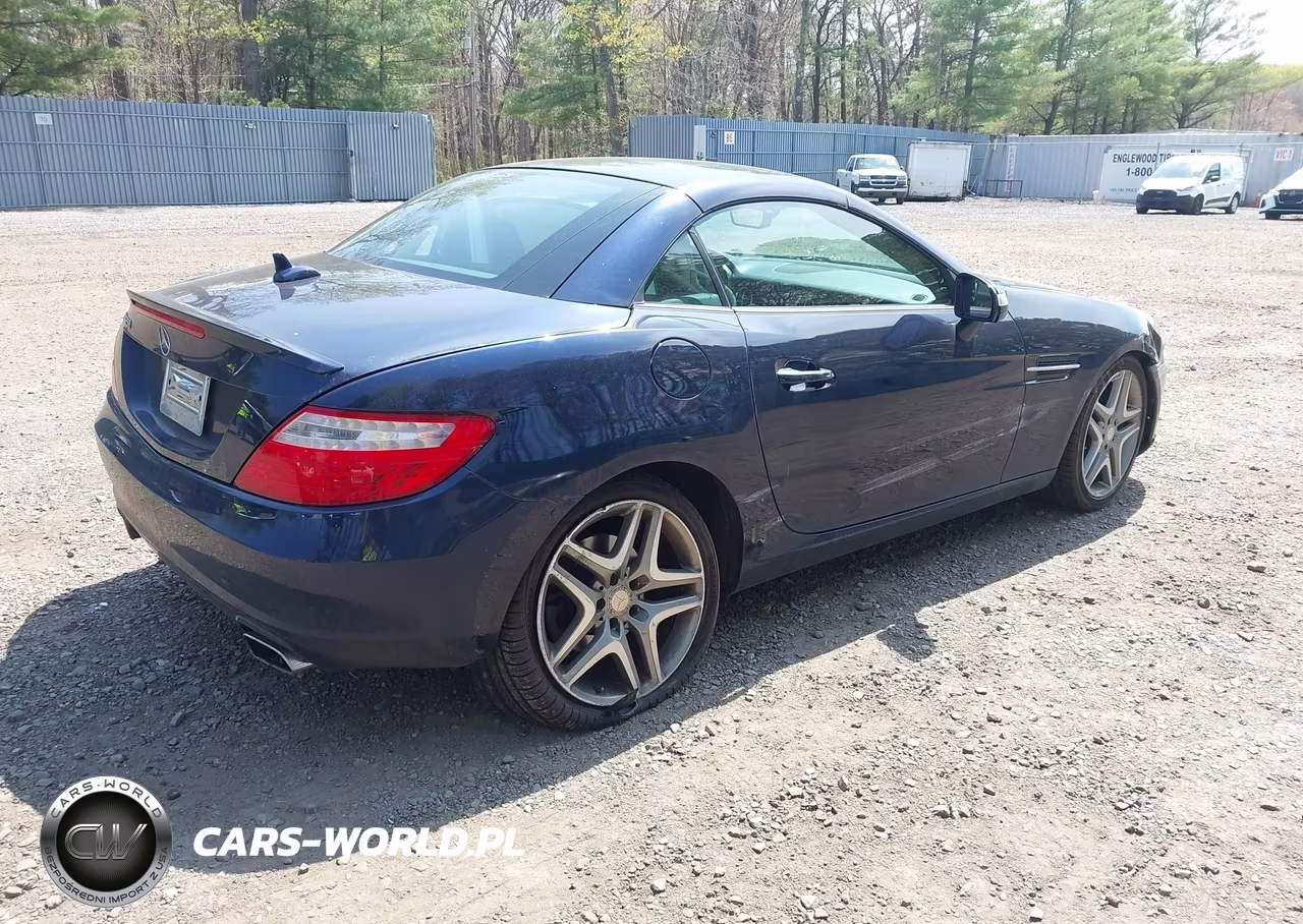 2015 Mercedes-Benz Slk 250 VIN:WDDPK4HA3FF102983 - 4