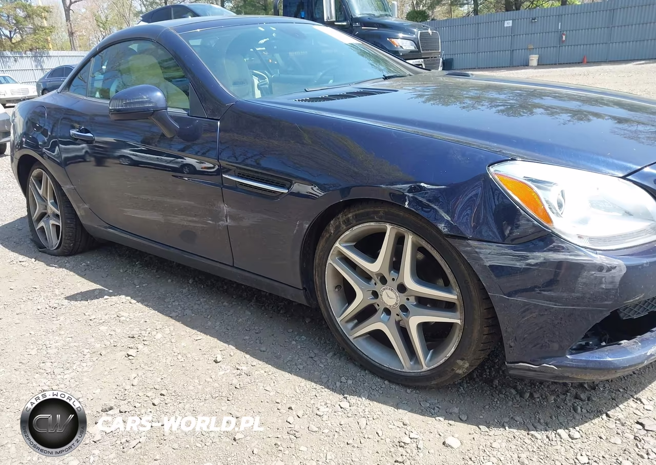 2015 Mercedes-Benz Slk 250 VIN:WDDPK4HA3FF102983 - 6