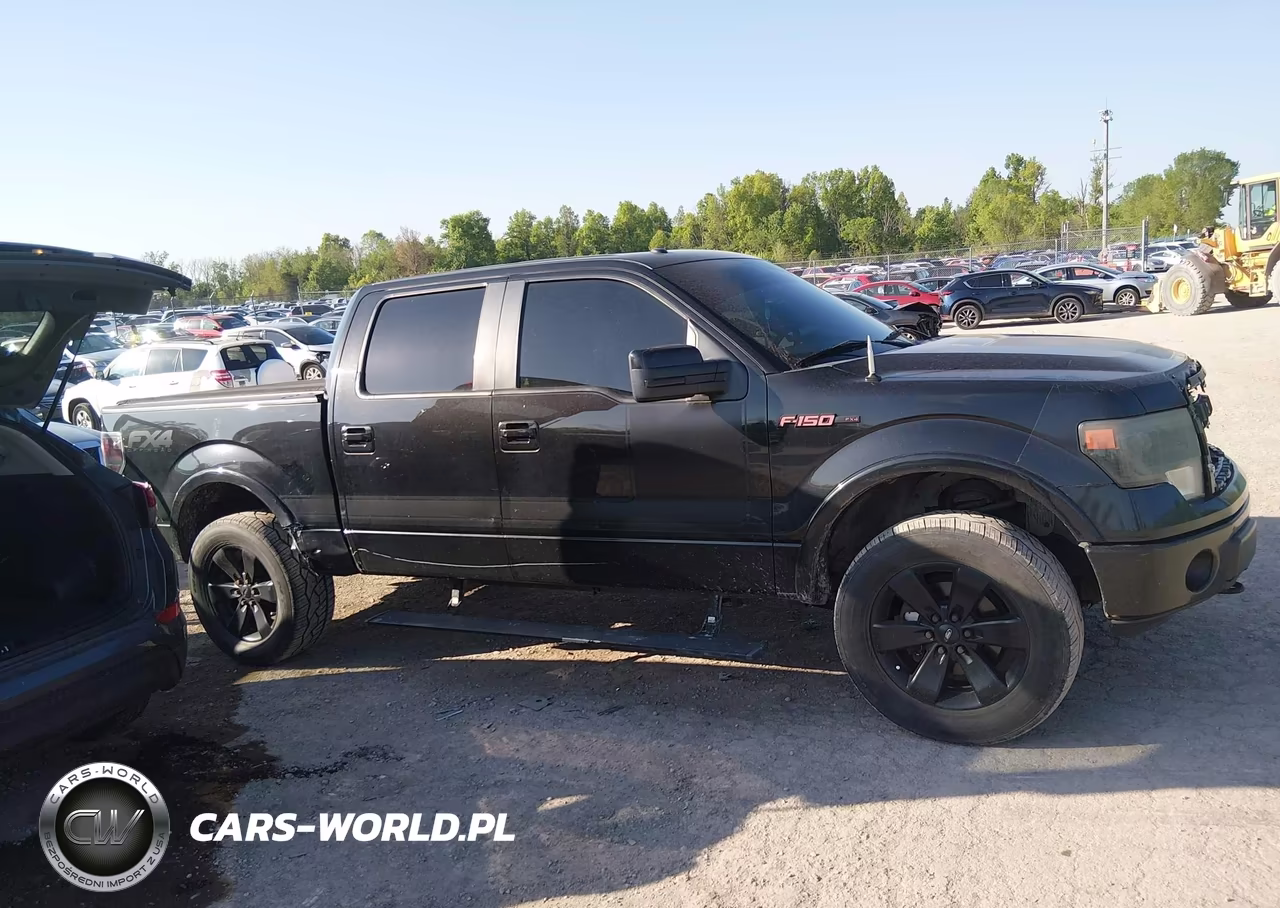 2013 Ford F-150 Fx4 VIN:1FTFW1ET8DFB78632 - 13
