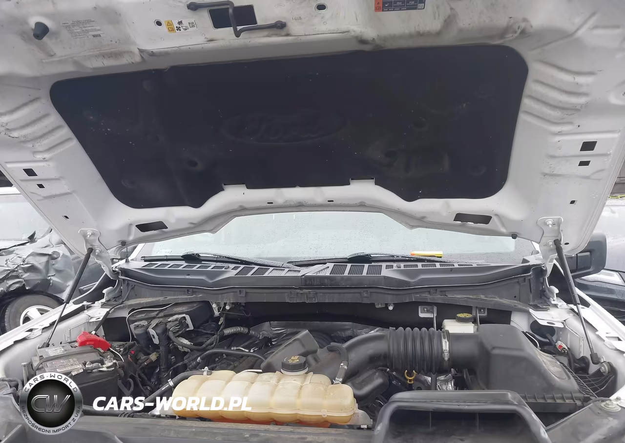 2021 Ford F-150 Xlt VIN:1FTFW1E53MKD29191 - 10