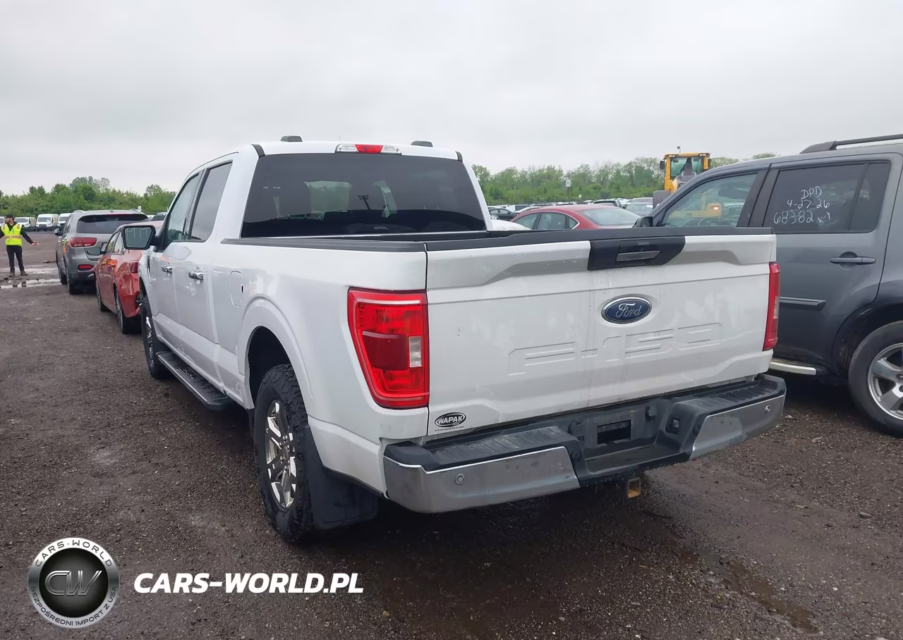 2021 Ford F-150 Xlt VIN:1FTFW1E53MKD29191 - 3