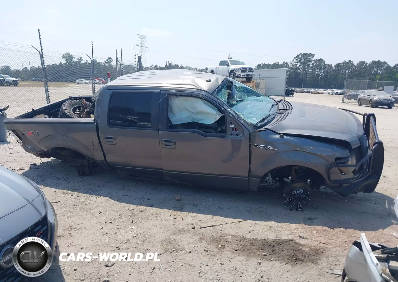 2010 Ford F-150 Fx4-Harley-Davidson-King Ranch-Lariat-Platinum-Xl-Xlt VIN:1FTFW1EV2AKE07102 - 13