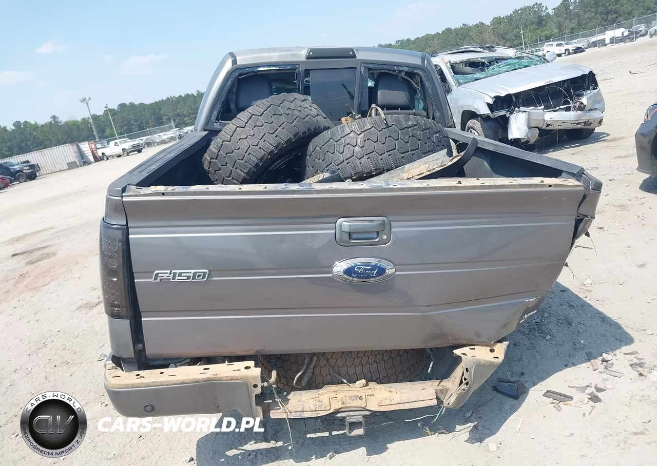 2010 Ford F-150 Fx4-Harley-Davidson-King Ranch-Lariat-Platinum-Xl-Xlt VIN:1FTFW1EV2AKE07102 - 16