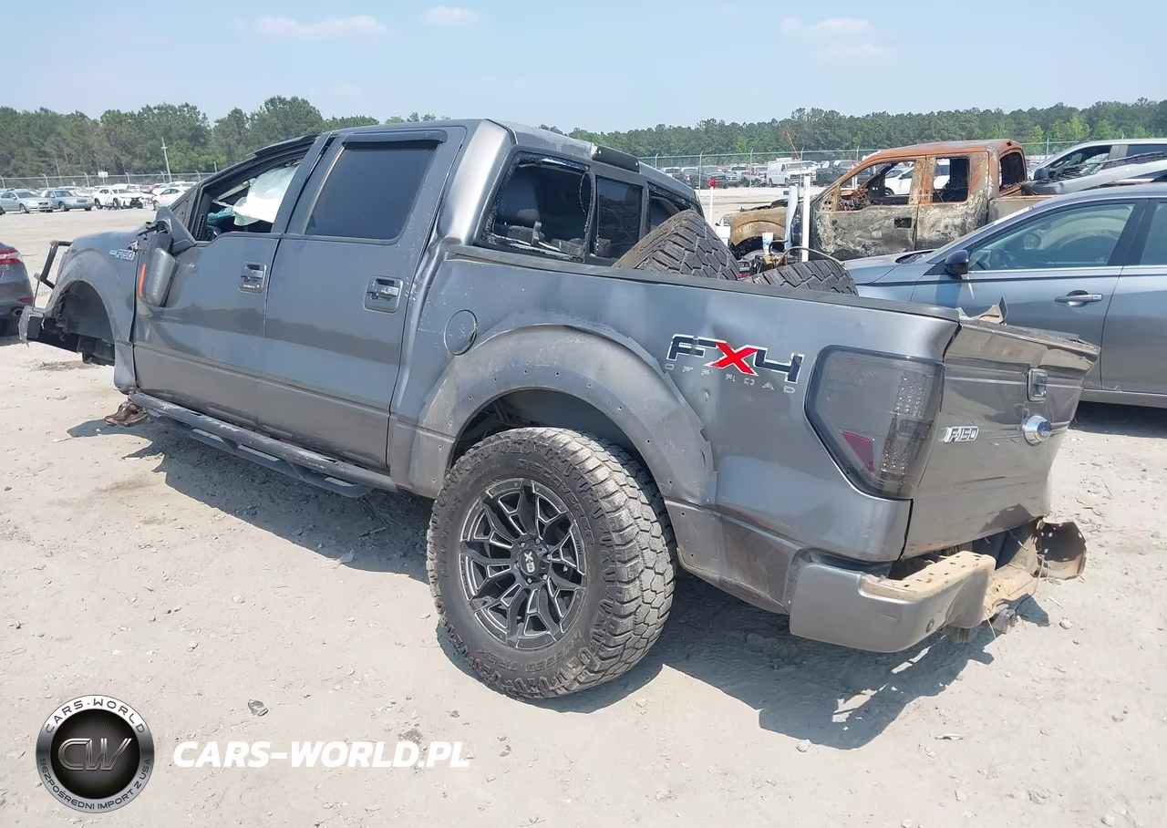2010 Ford F-150 Fx4-Harley-Davidson-King Ranch-Lariat-Platinum-Xl-Xlt VIN:1FTFW1EV2AKE07102 - 3