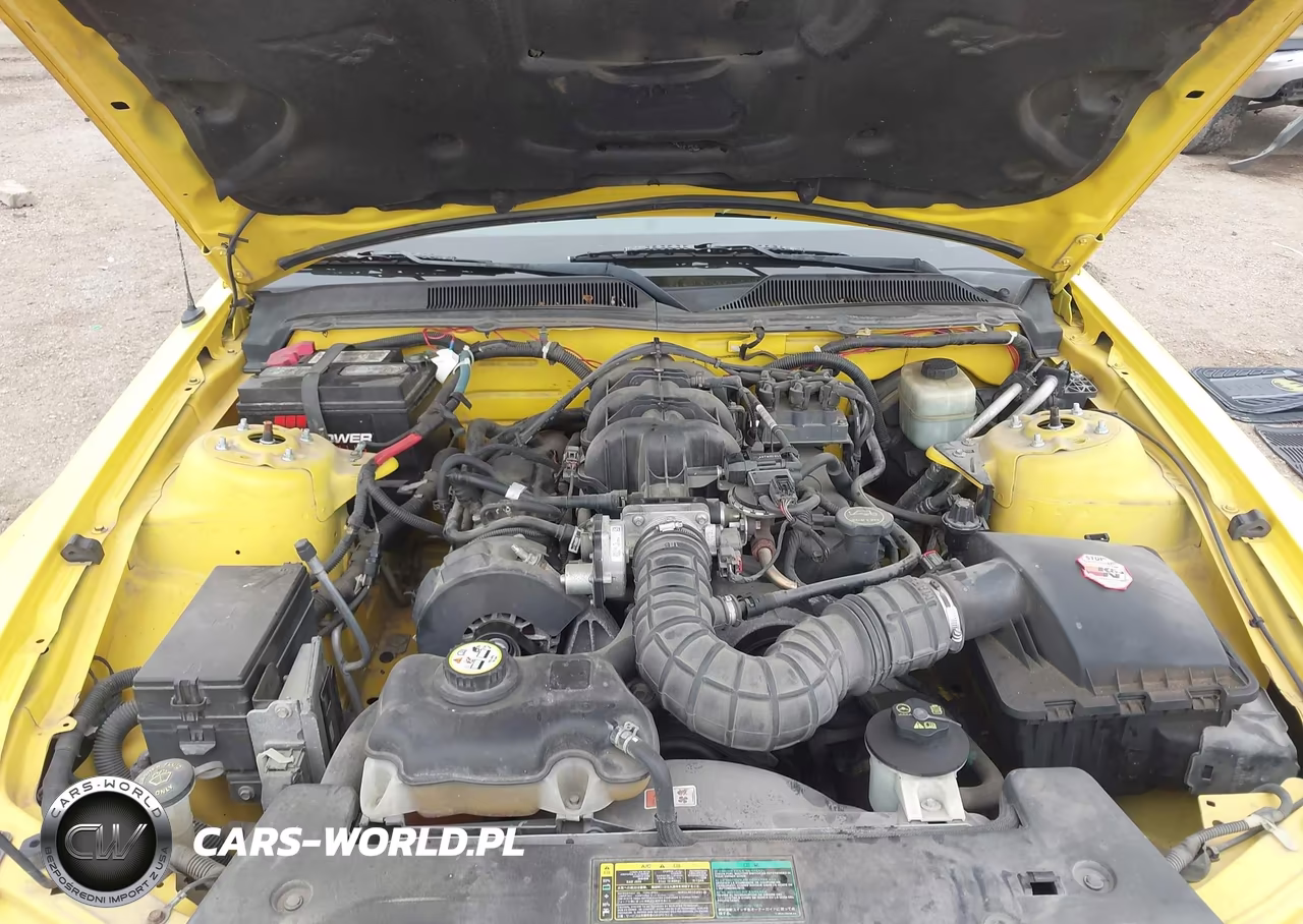 2005 Ford Mustang VIN:1ZVHT84NX55175880 - 10