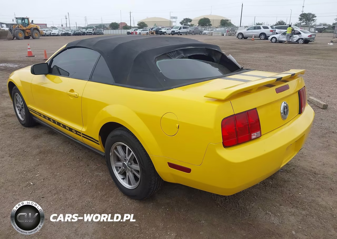 2005 Ford Mustang VIN:1ZVHT84NX55175880 - 3