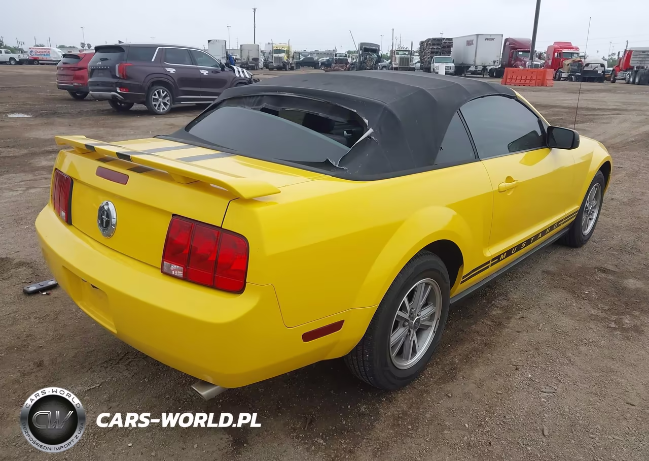 2005 Ford Mustang VIN:1ZVHT84NX55175880 - 4