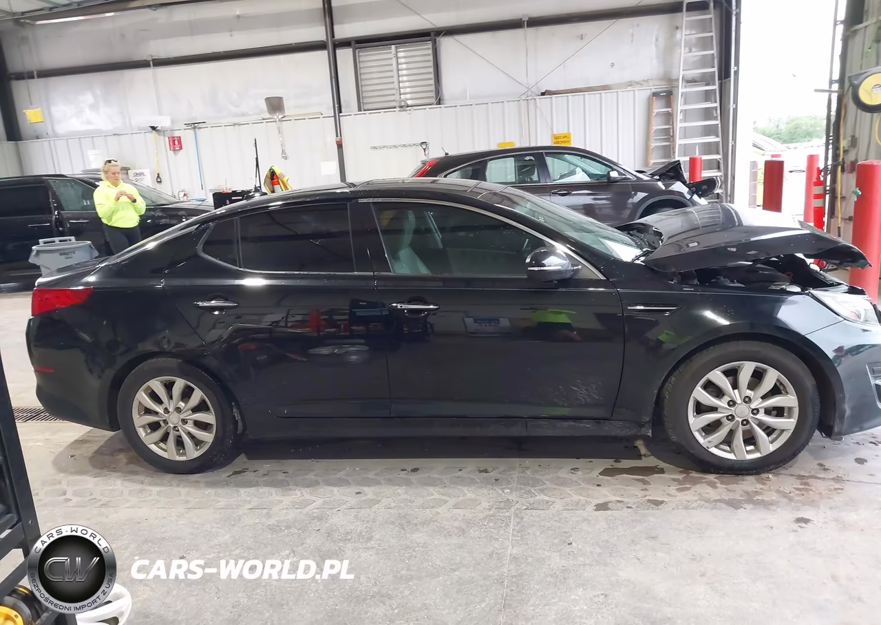 2014 Kia Optima Ex VIN:5XXGN4A76EG319556 - 13