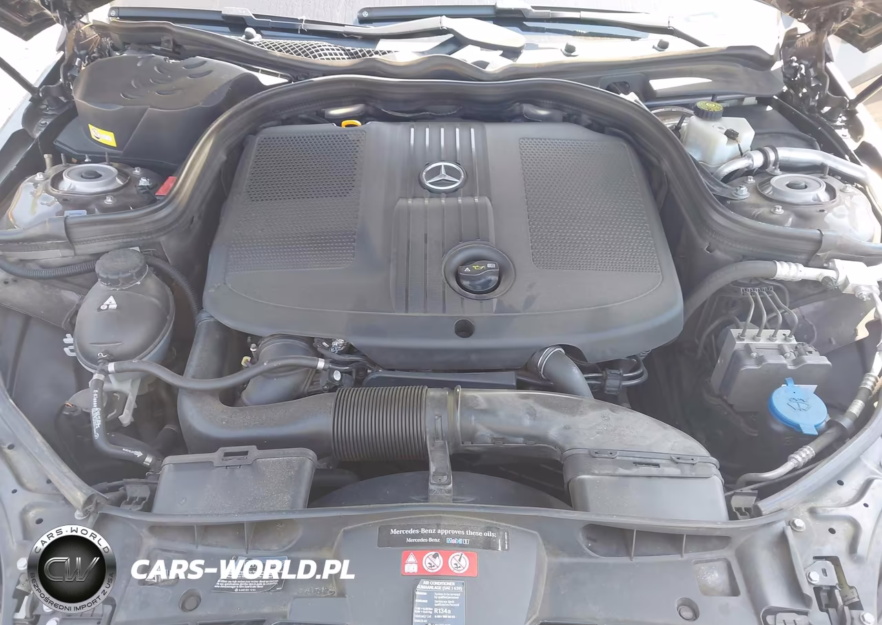 2014 Mercedes-Benz E 250 Bluetec VIN:WDDHF0EB9EA996661 - 10