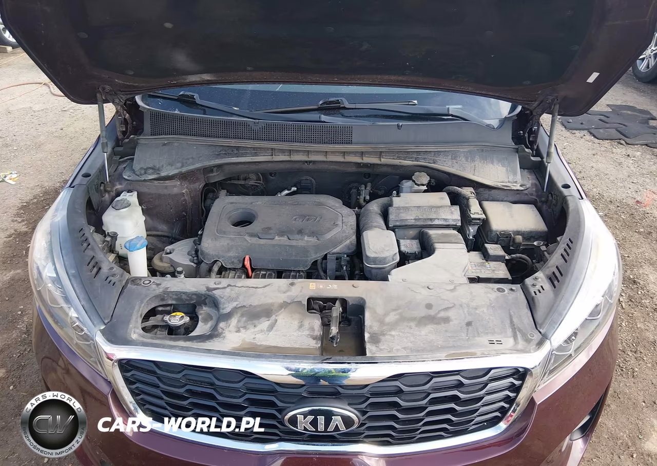 2019 Kia Sorento 2.4L Lx VIN:5XYPG4A35KG510643 - 10