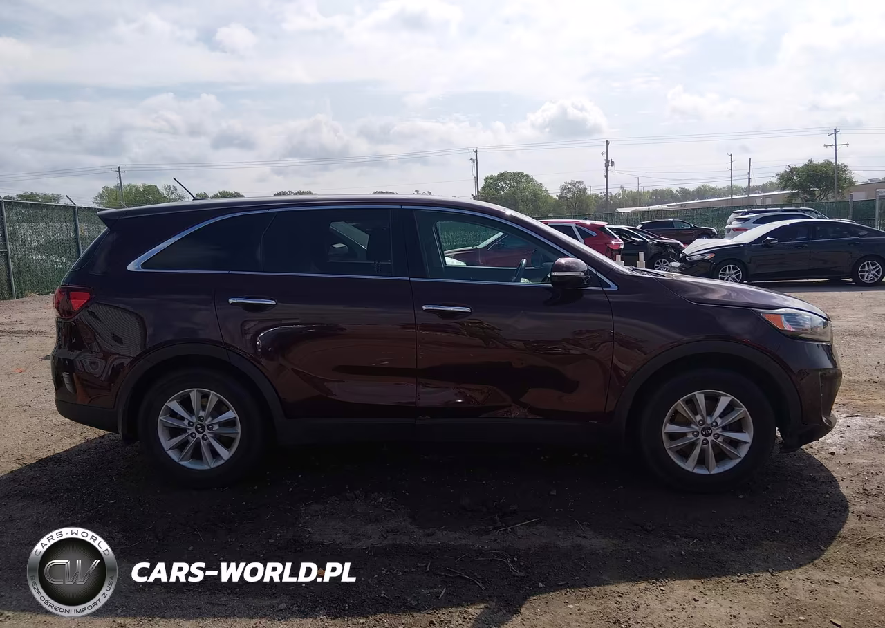 2019 Kia Sorento 2.4L Lx VIN:5XYPG4A35KG510643 - 13