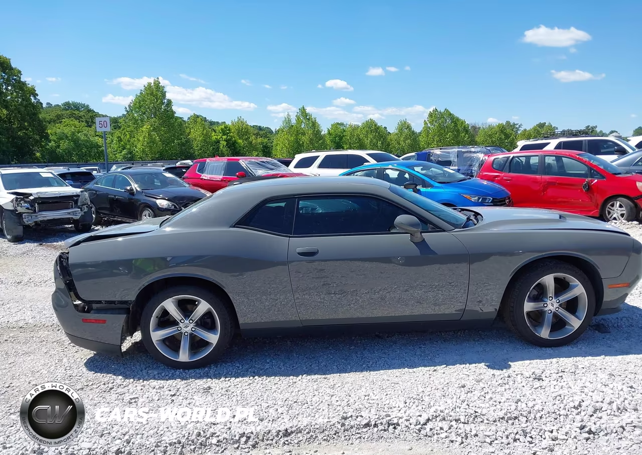 2018 Dodge Challenger Sxt VIN:2C3CDZAG3JH246351 - 13
