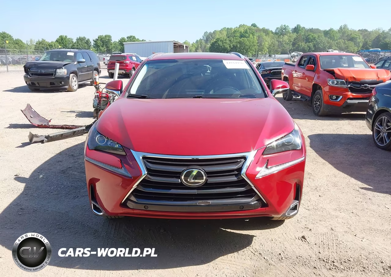 2015 Lexus Nx 200T VIN:JTJYARBZ1F2014855 - 13