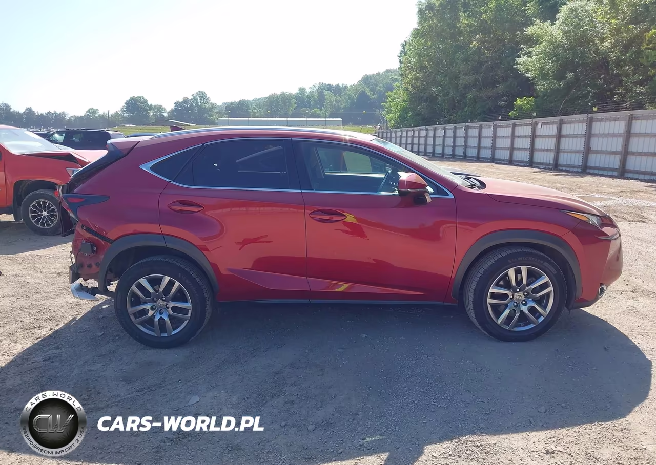 2015 Lexus Nx 200T VIN:JTJYARBZ1F2014855 - 14