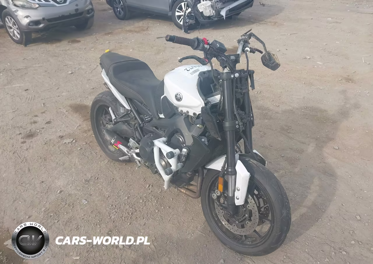 2017 Yamaha Fz09 C