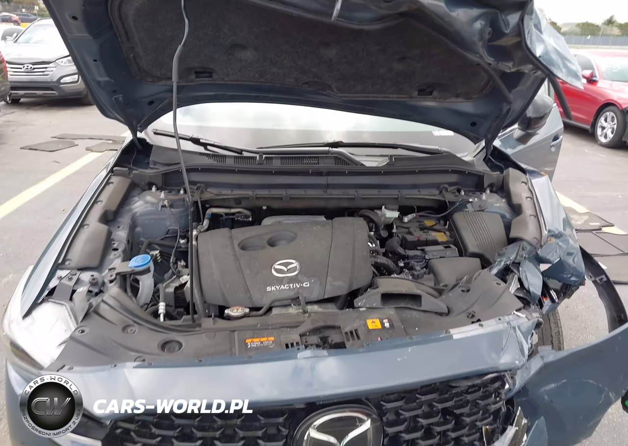 2024 Mazda Cx-5 2.5 S Carbon Edition VIN:JM3KFBCL9R0437024 - 10