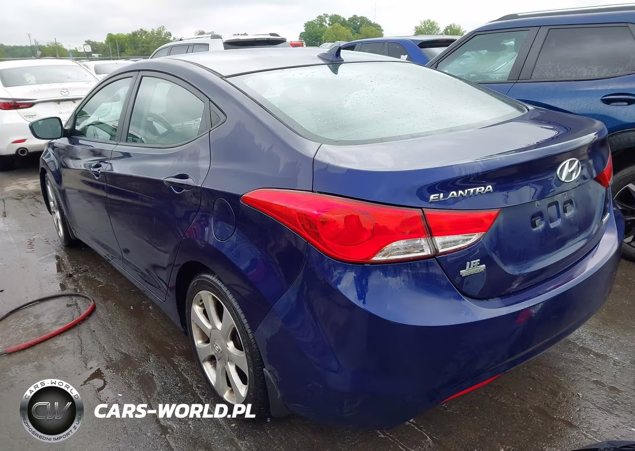 2013 Hyundai Elantra Limited VIN:5NPDH4AE6DH299935 - 3