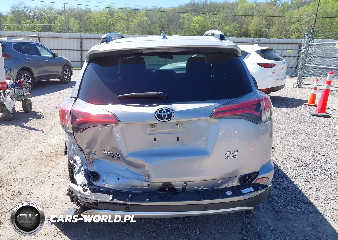 2016 Toyota Rav4 Xle VIN:2T3RFREV1GW487827 - 16