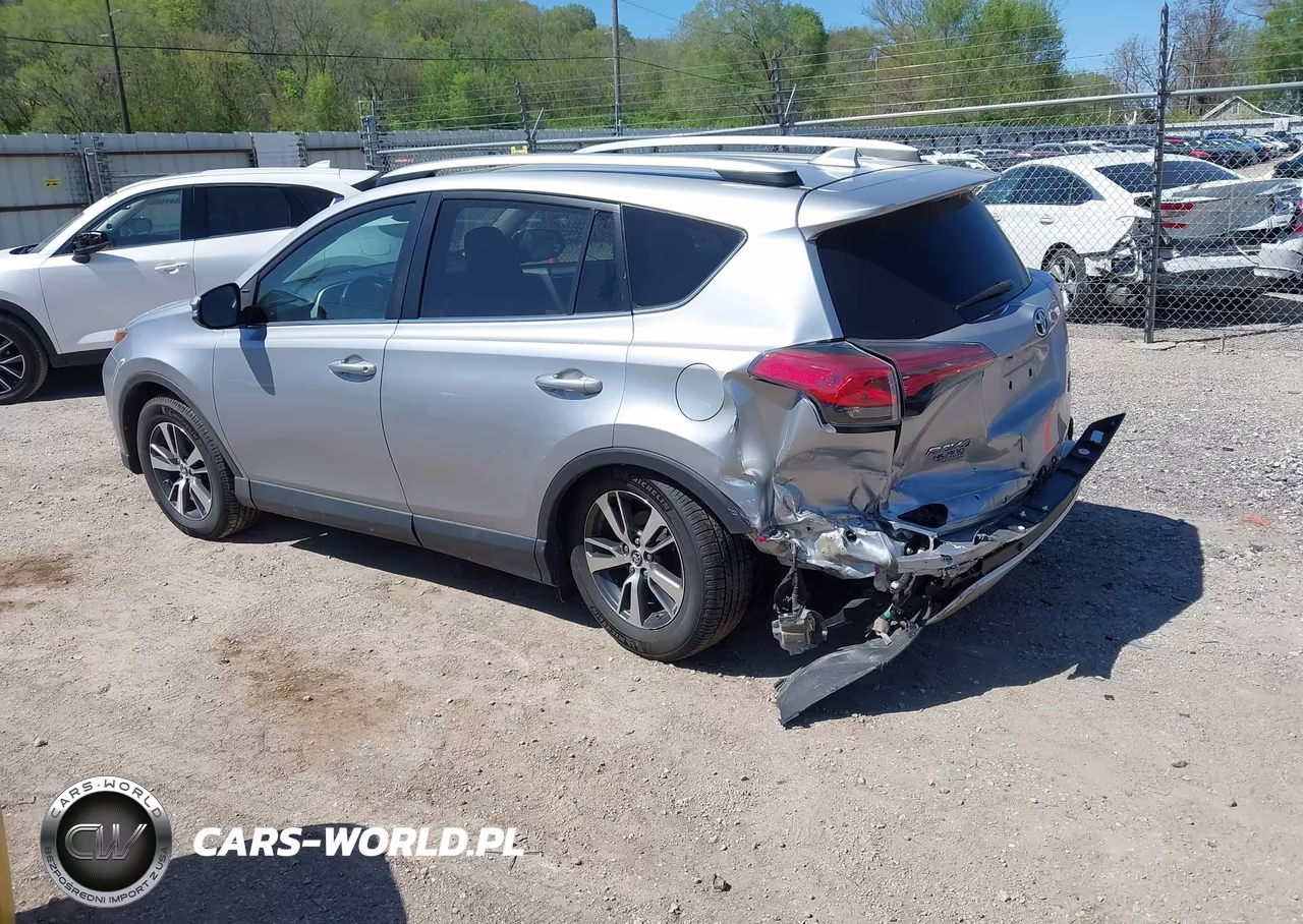 2016 Toyota Rav4 Xle VIN:2T3RFREV1GW487827 - 3