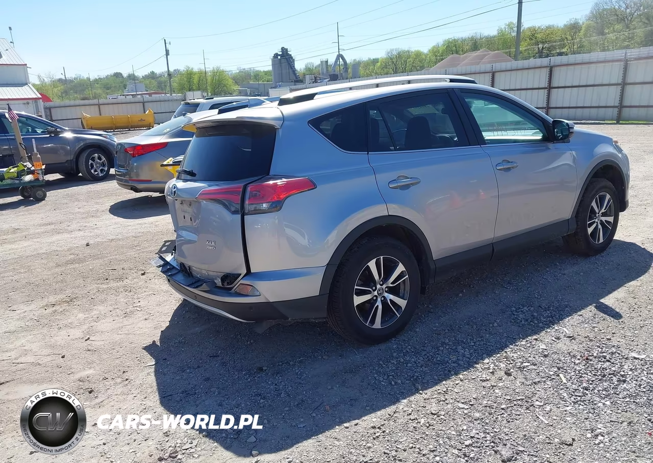 2016 Toyota Rav4 Xle VIN:2T3RFREV1GW487827 - 4