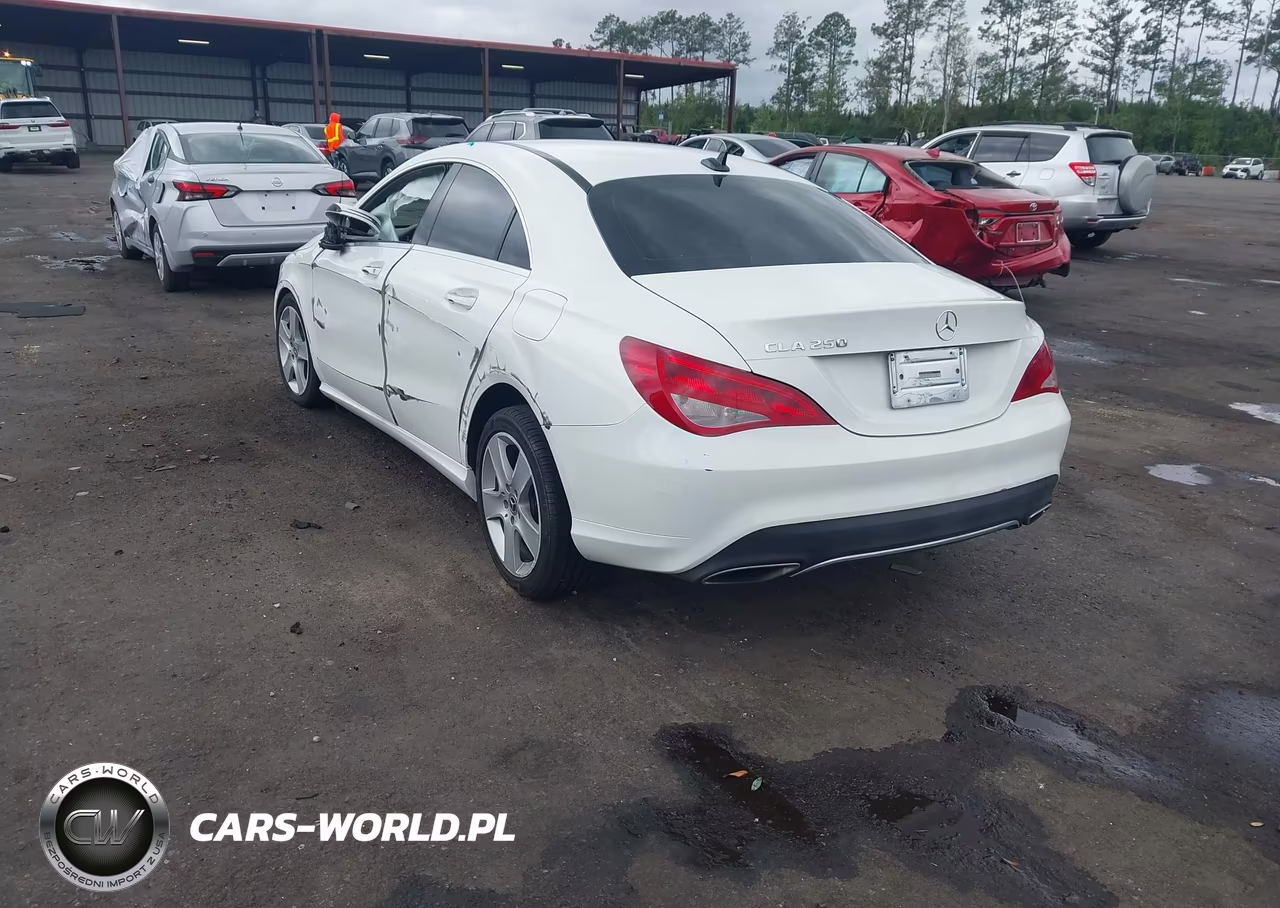 2018 Mercedes-Benz Cla 250 VIN:WDDSJ4EB6JN697630 - 3