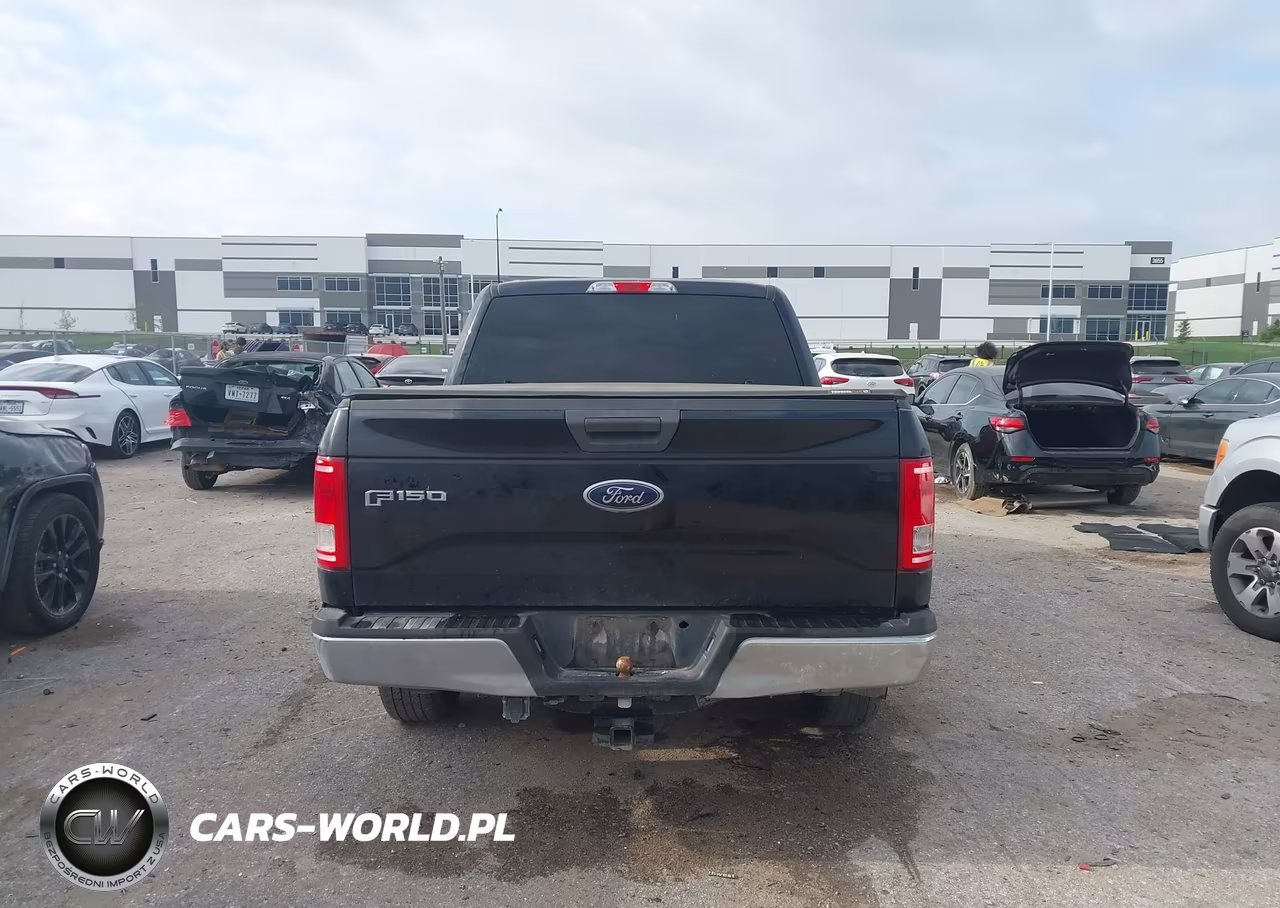 2016 Ford F-150 Xlt VIN:1FTEW1CG2GKD79794 - 16