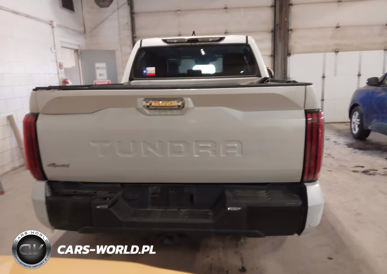 2023 Toyota Tundra Crewmax Limited VIN:5TFJC5DB6PX020372 - 17